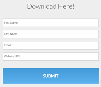 Form_1_Example_1.png