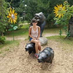 ashley newsletter-229496-edited.jpg?noresize