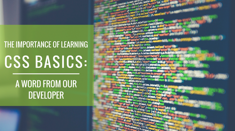 The Importance of LearningCSS Basics-A Word from Our Developer.png